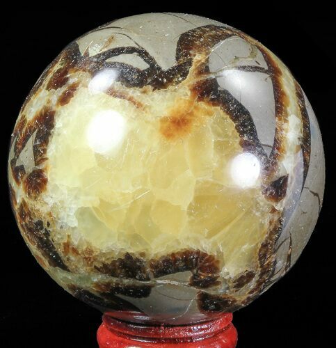 Polished Septarian Sphere - Madagascar #67865
